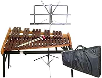 41xm+sAaV0L._AC_UF350,